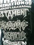 kawasaki_THRASH_DOMINATION01.jpg